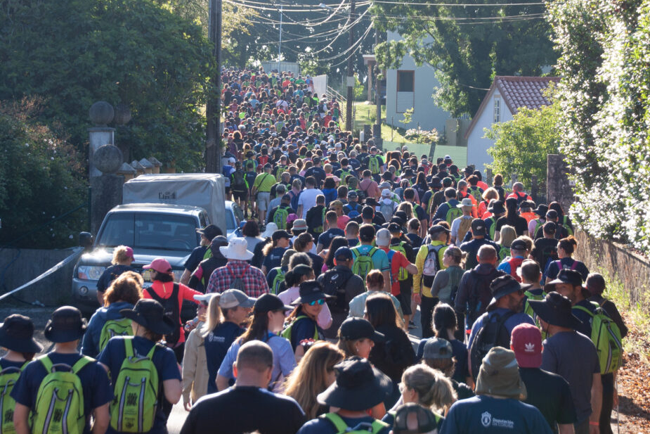 X ANDAINA TERRAS DE ALTAMIRA